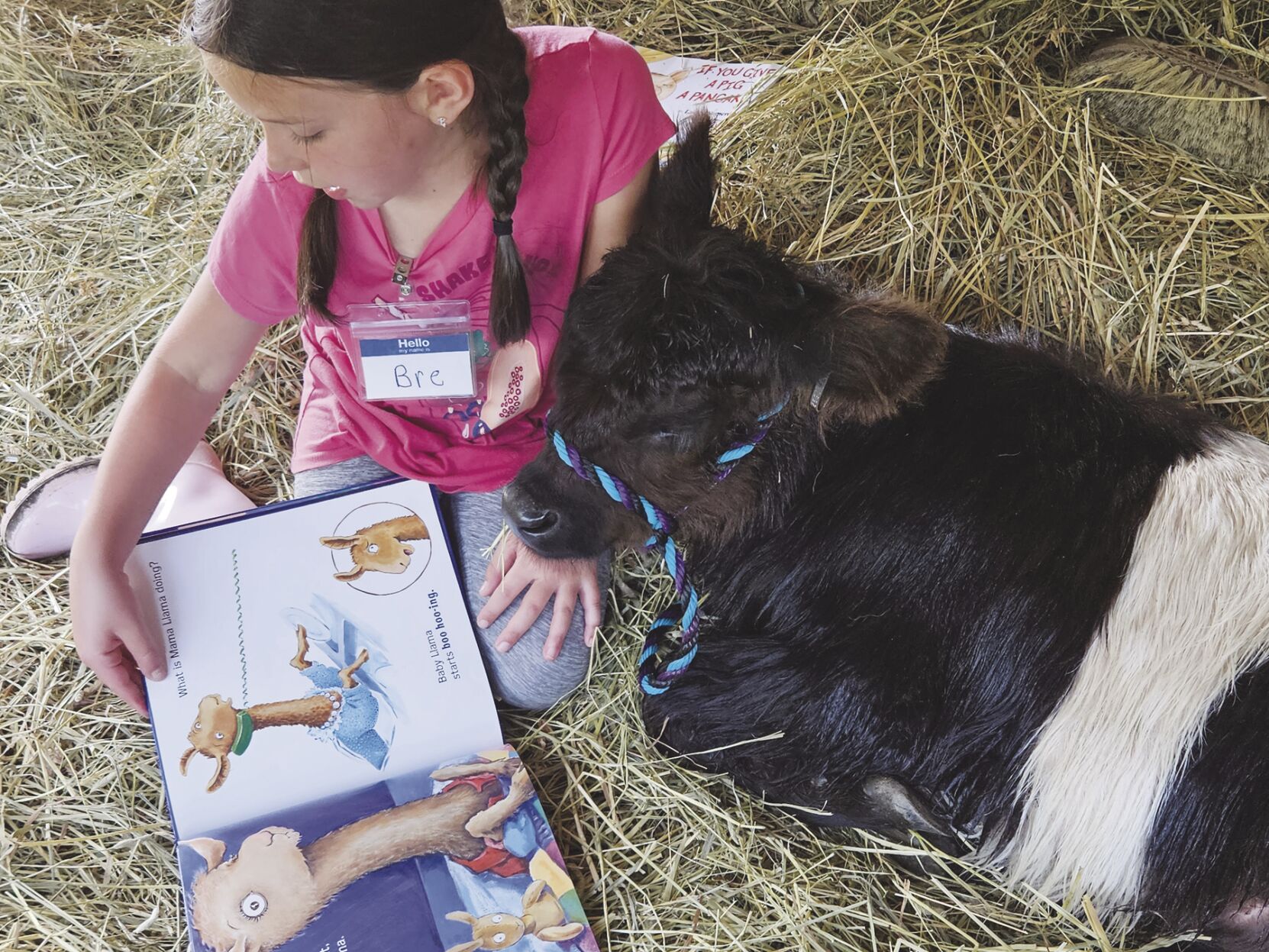 Heaven on Earth for animal lovers